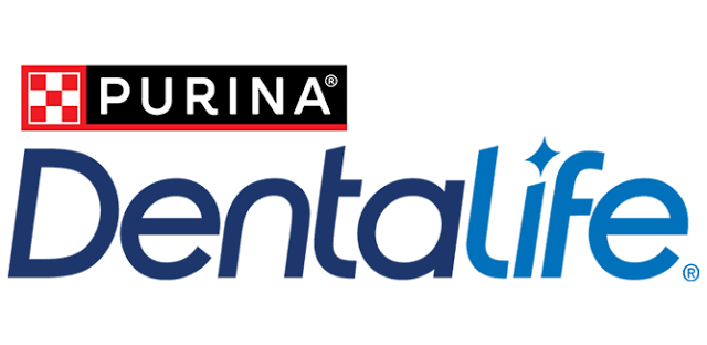 Dentalife